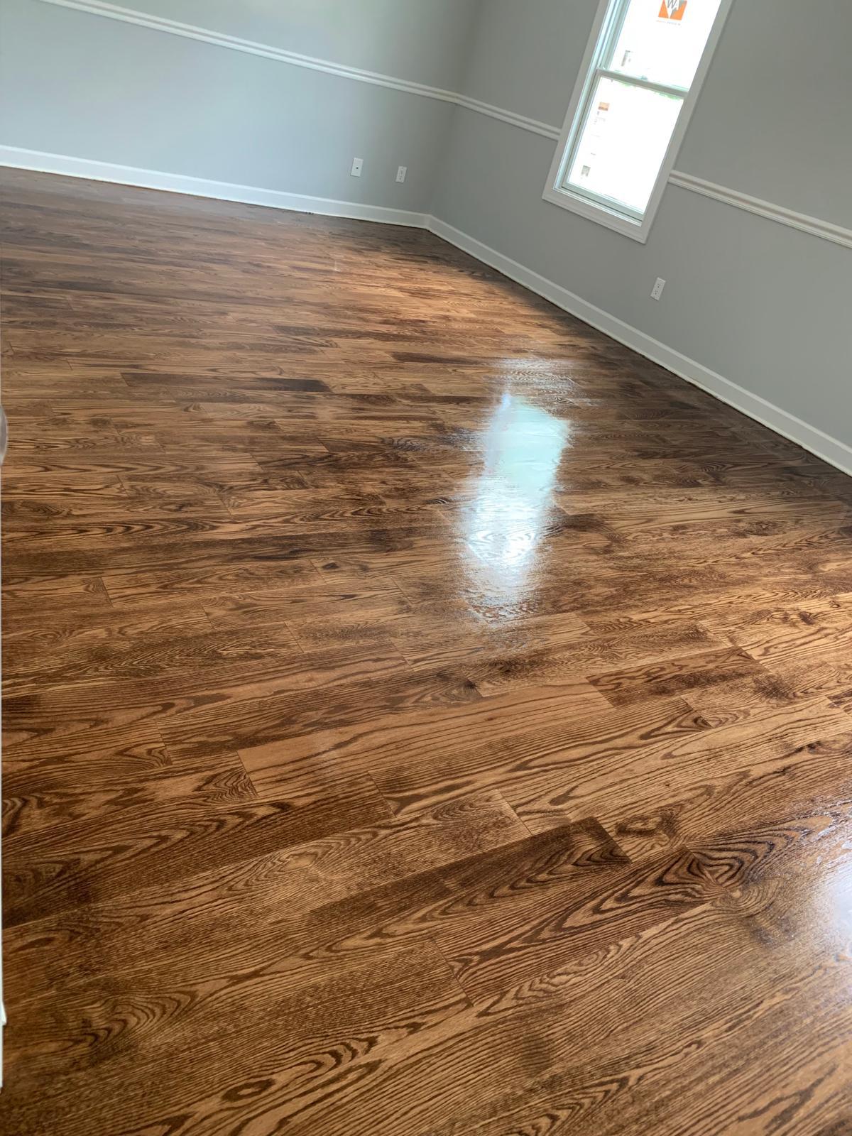 Proyecto de remodelación 41